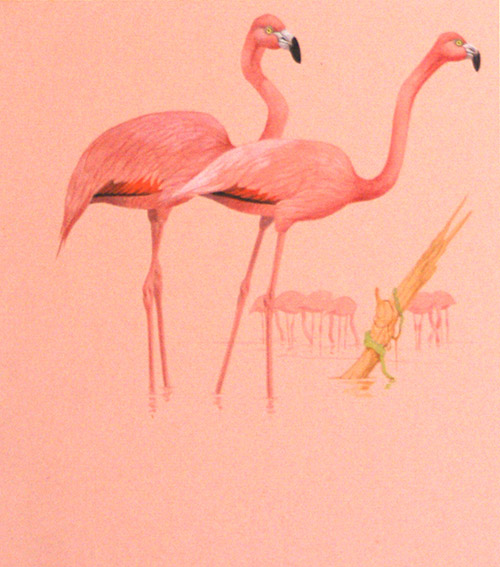 Pink Flamingos (Original) by Kenneth Lilly at The Illustration Art Gallery
