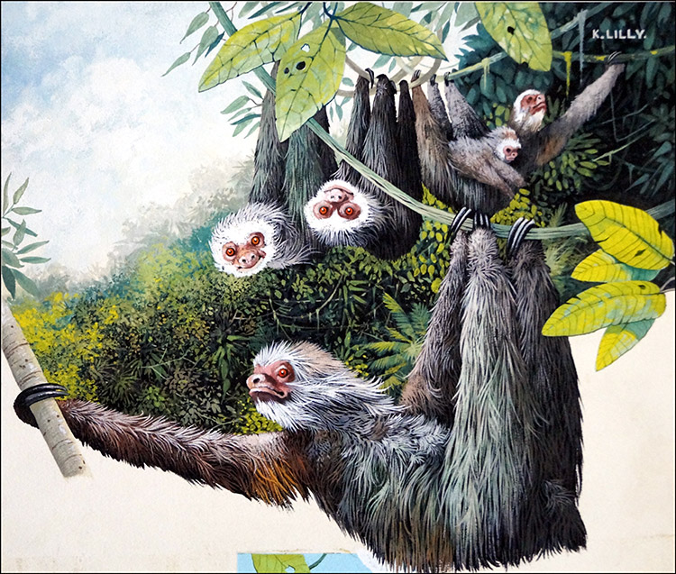 Hanging Around - The Sloth (Original) (Signed) by Kenneth Lilly at The Illustration Art Gallery