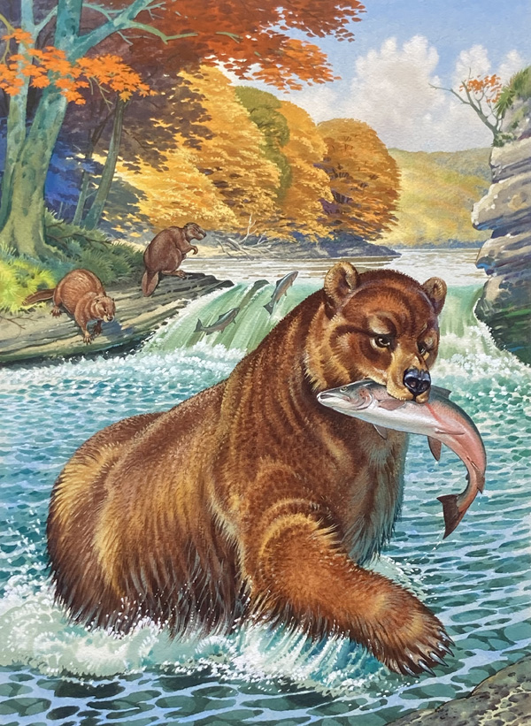 The Cave Bear and The Giant Beaver (Original) by Bernard Long Art at The Illustration Art Gallery
