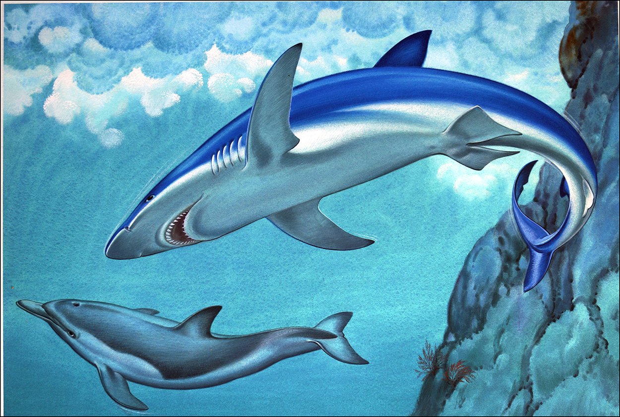 Danger Blue Shark (Original) art by Bernard Long at The Illustration Art Gallery