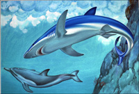 Danger Blue Shark art by Bernard Long