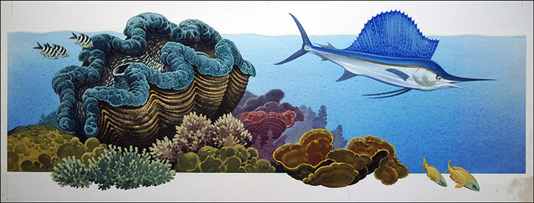 Giant Clam and Sailfish (Original) by Bernard Long at The Illustration Art Gallery