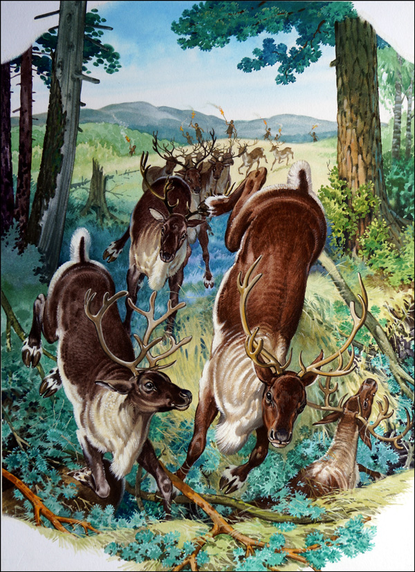 Reindeer Hunt (Original) by Bernard Long at The Illustration Art Gallery