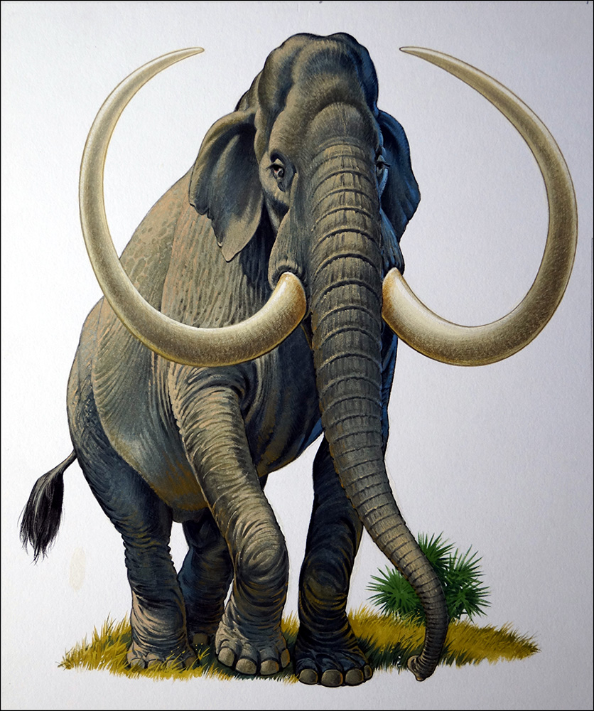 Imperial Mammoth (Original) art by Bernard Long Art at The Illustration Art Gallery