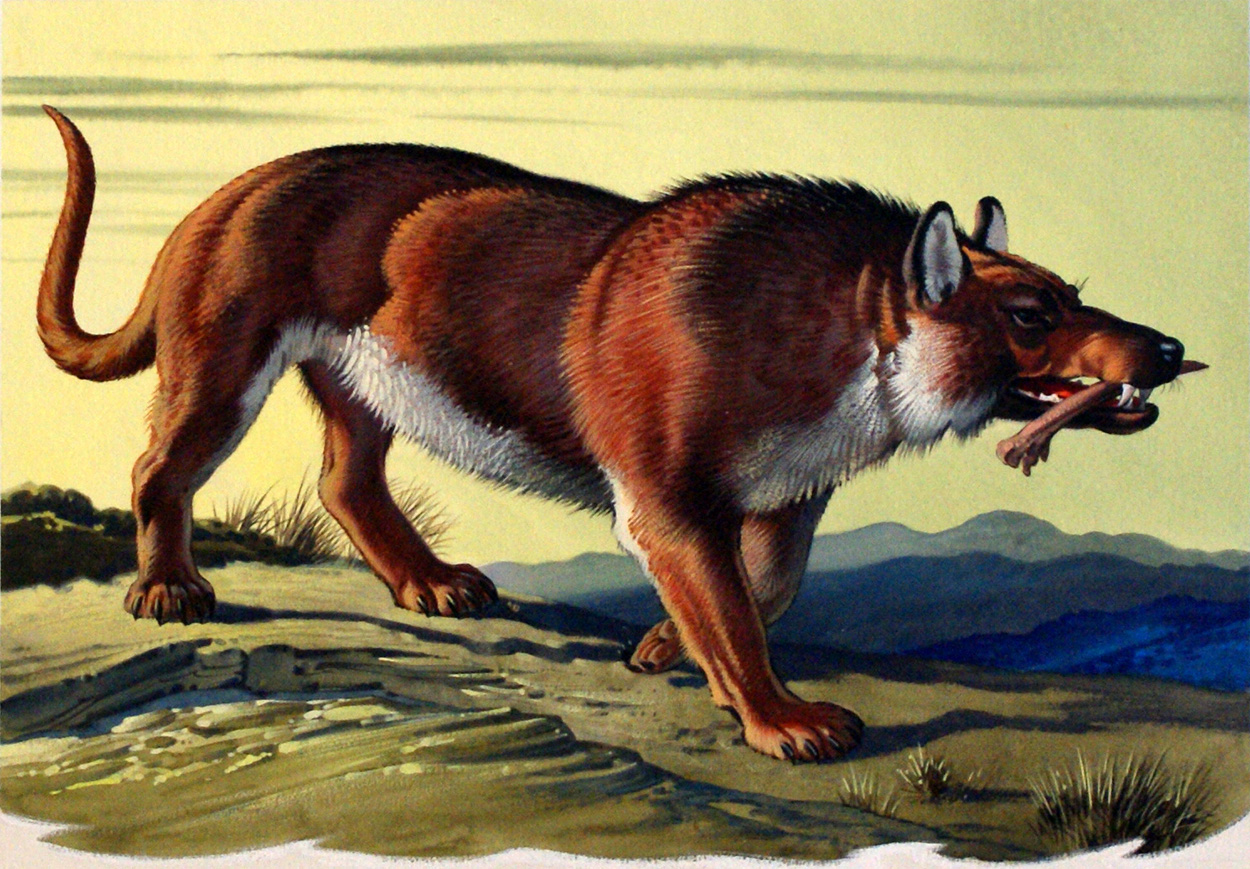 Первые млекопитающие появились в. Эндрюсархус. Andrewsarchus mongoliensis. Эндрюсарх Жеводанский. Мезонихии Жеводанский зверь.