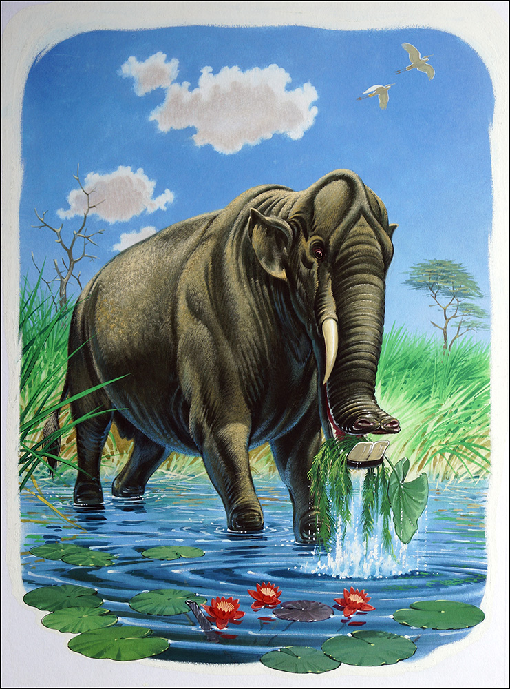 The Elephants Ancestor (Original) art by Bernard Long Art at The Illustration Art Gallery