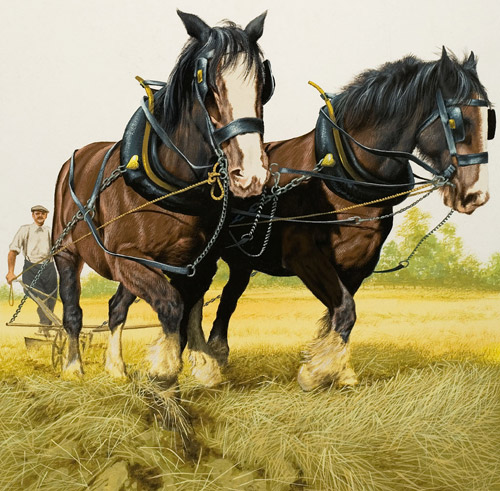 Heavy Horses (Original) by David Nockels Art at The Illustration Art Gallery
