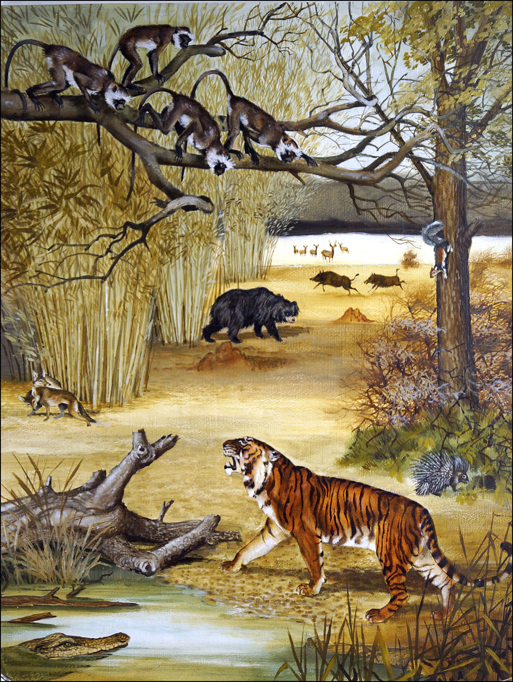 Animals of India (Original) art by Arthur Oxenham Art at The Illustration Art Gallery