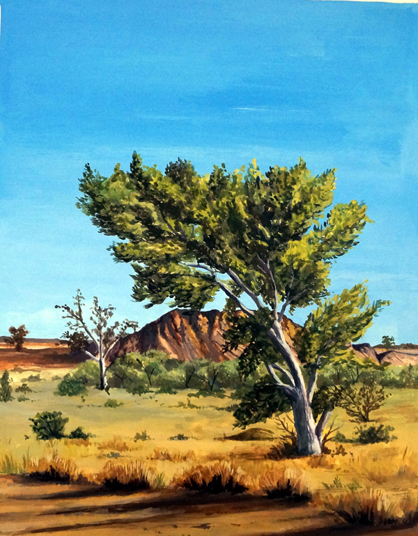 Trail of the Warrigal cover art (Original) by Kim Palmer Art at The Illustration Art Gallery