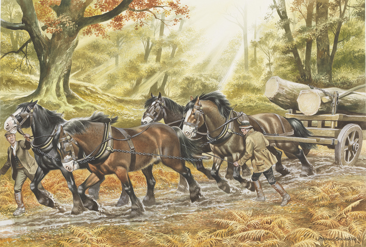 Horse Drawn Vehicle Series - Autumn Forest with four horses pulling the log cart (Original) (Signed) art by Horse Drawn Vehicles (Ron Embleton) at The Illustration Art Gallery