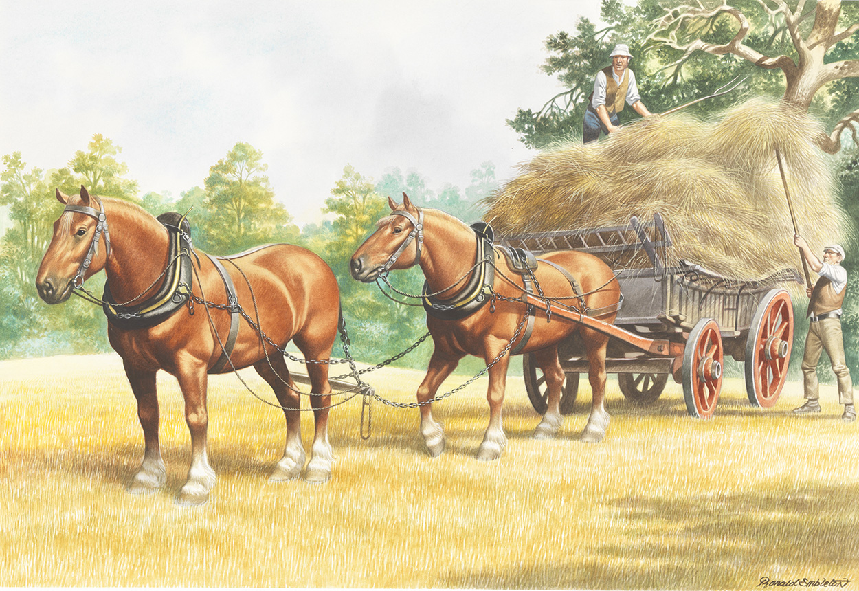 Horse Drawn Vehicle Series - Haymaking (Original) (Signed) art by Horse Drawn Vehicles (Ron Embleton) at The Illustration Art Gallery