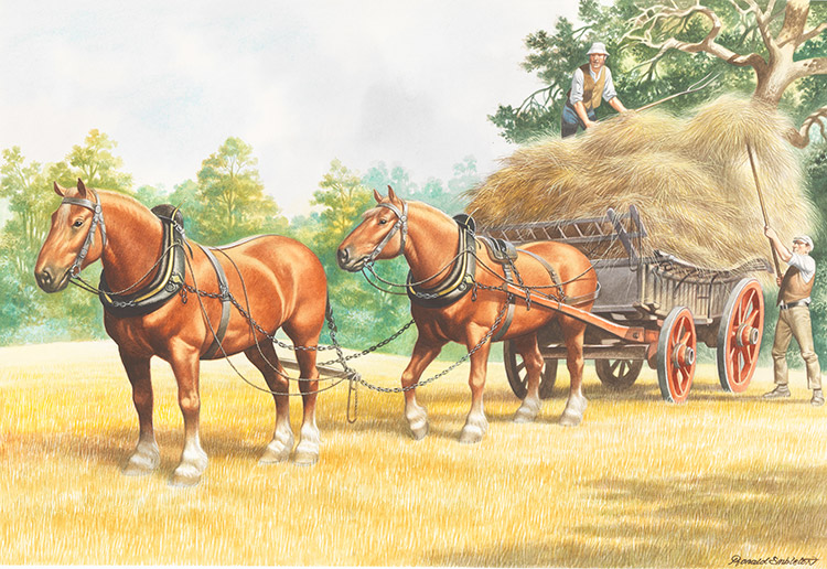 Horse Drawn Vehicle Series - Haymaking (Original) (Signed) by Horse Drawn Vehicles (Ron Embleton) at The Illustration Art Gallery