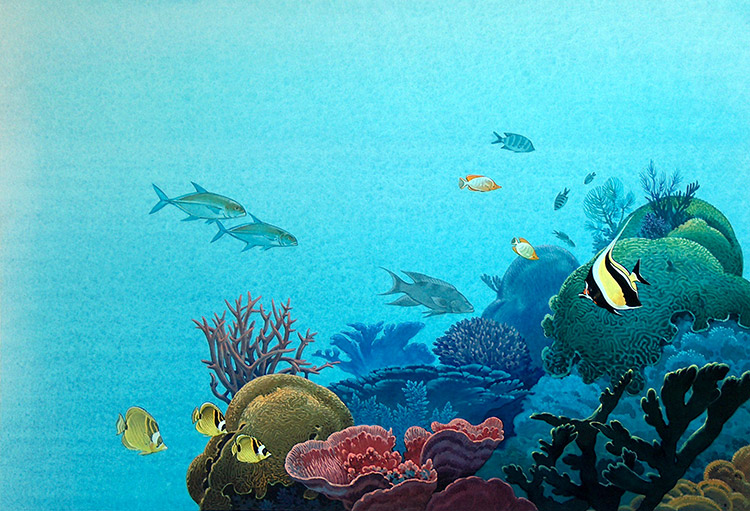 Coral under the Sea (Original) by John Rignall at The Illustration Art Gallery