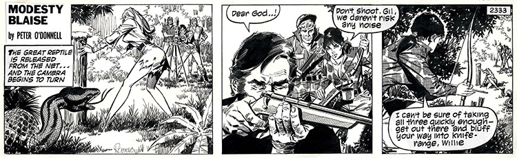 Modesty Blaise strip 2333 - Release the Anaconda (Original) (Signed) by Modesty Blaise (Romero) Art at The Illustration Art Gallery