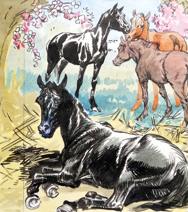 Black Beauty - Frolicking (Original) by Black Beauty (Carlos Roume) Art at The Illustration Art Gallery