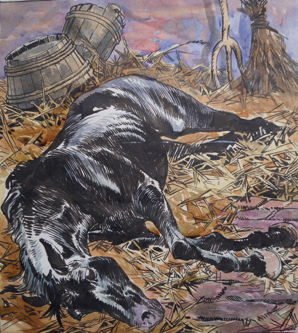 Black Beauty - On The Nod (Original) by Black Beauty (Carlos Roume) Art at The Illustration Art Gallery