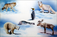 Animals From Opposite Ends of the Earth art by Rudolf Sablic