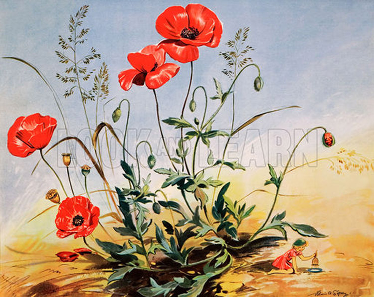 The Elf and the Poppy (Original Macmillan Poster) (Print) by Eileen Soper at The Illustration Art Gallery