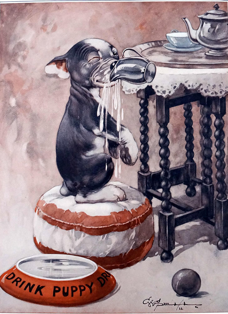 Bonzo the Dog: You Simply Must Save Water (Limited Edition Print) art by George E Studdy at The Illustration Art Gallery