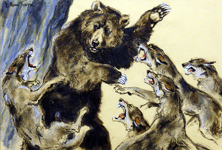 Bear Attacked by Wolves (Original) (Signed) by William Timym at The Illustration Art Gallery