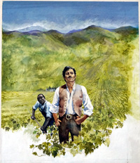 Mario's Vineyard book cover art art by 20th Century unidentified artist