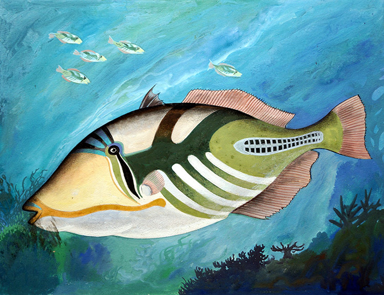 Tropical Fish (Original) by Clive Uptton at The Illustration Art Gallery