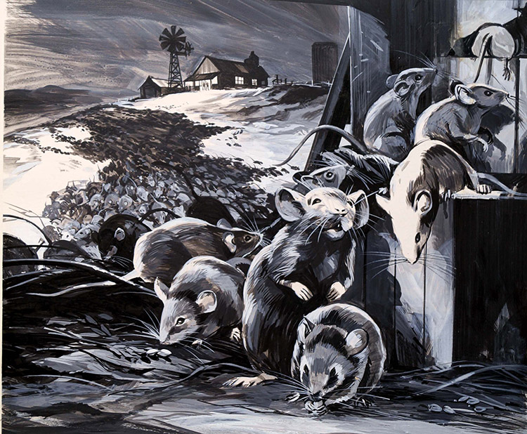 Mouse Hunt (Original) by Gerry Wood Art at The Illustration Art Gallery