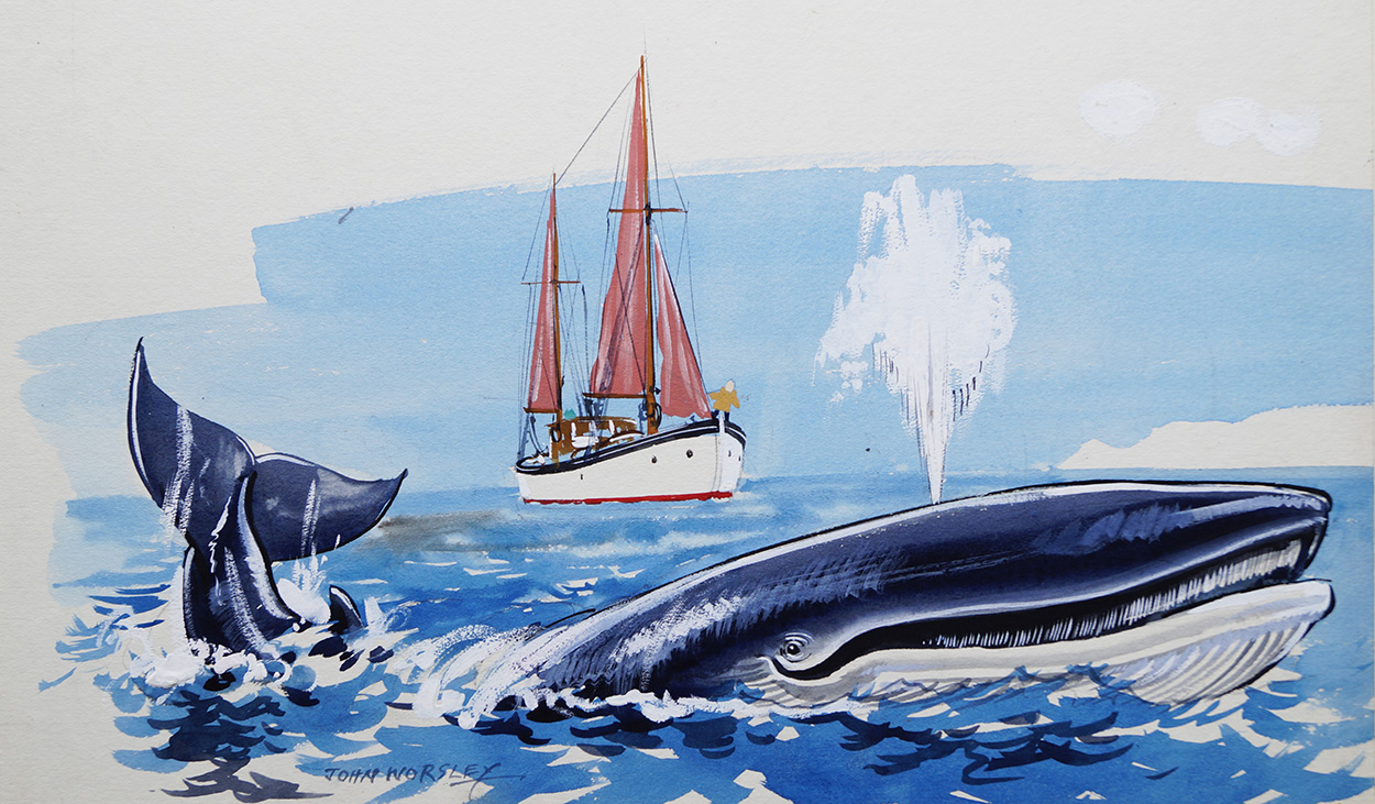 Willie's Whale (Originals) (Signed) art by Wee Willie Winkie (Worsley) at The Illustration Art Gallery