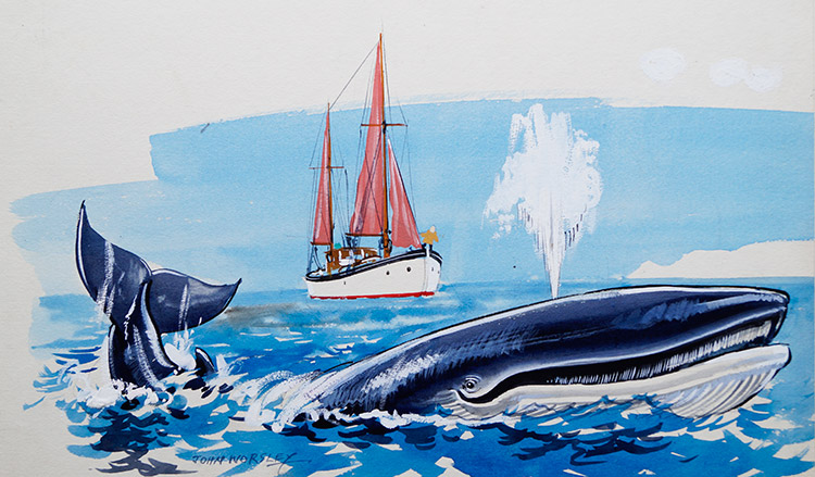 Willie's Whale (Originals) (Signed) by Wee Willie Winkie (Worsley) at The Illustration Art Gallery