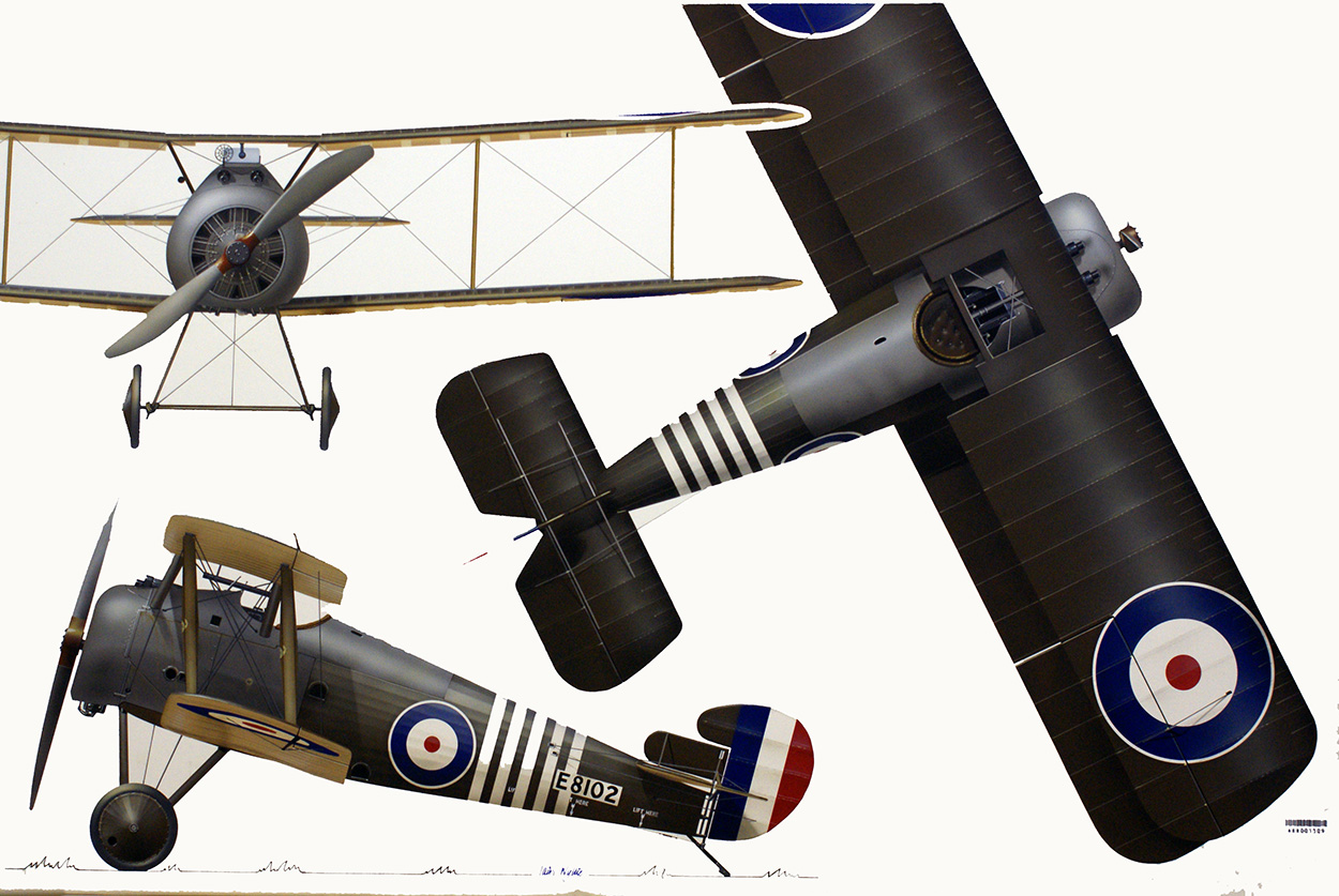 Sopwith Snipe (Original) (Signed) art by Iain Wyllie at The Illustration Art Gallery
